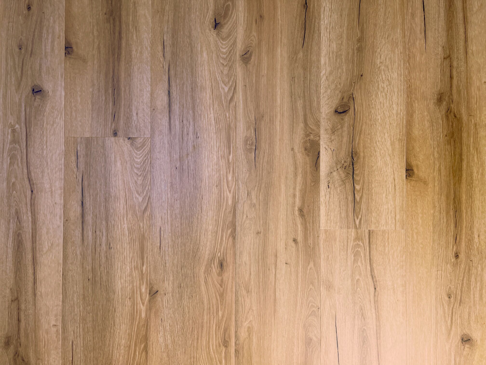 Klebe-Vinylboden Eiche Valencia Basic – Bild 2