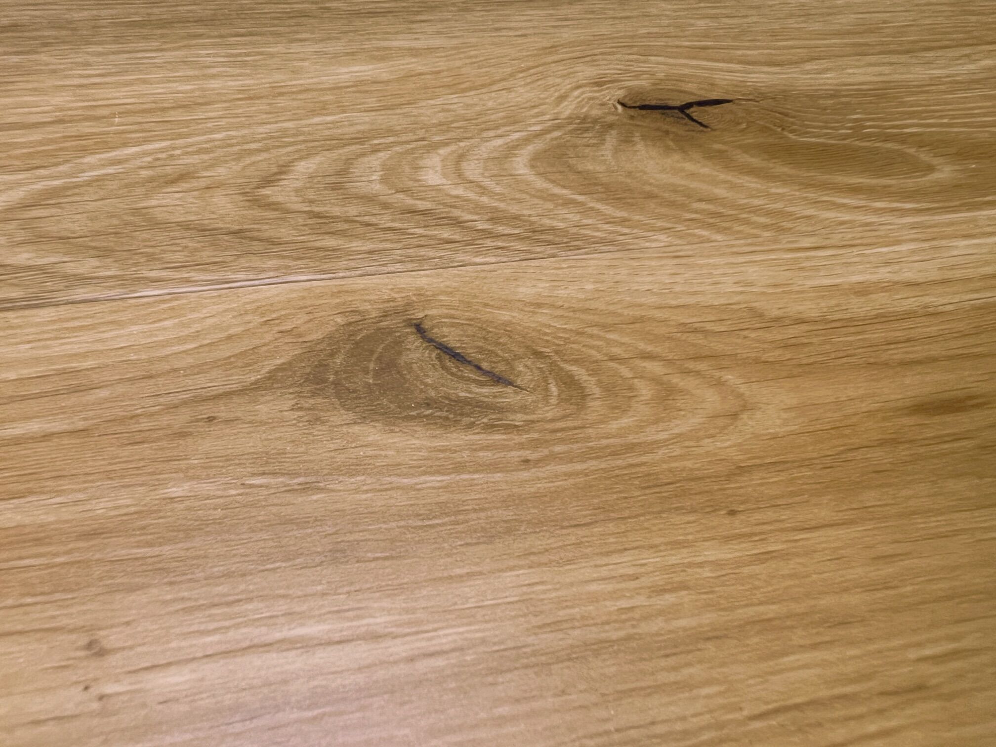 Klebe-Vinylboden Eiche Valencia Basic – Bild 3